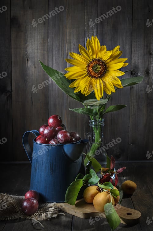 Preview: still life of apricots and cherry plum
