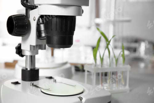 Preview: Modern microscope on table in laboratory, closeup
