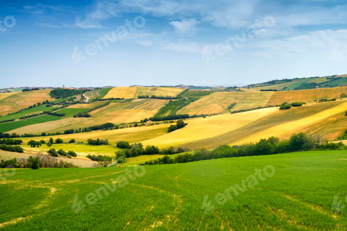 Preview: Rural landscape along the road from Fano to Mondavio, Marche