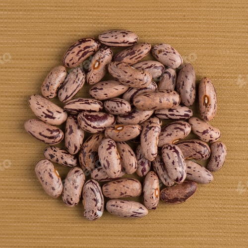 Preview: Circle of pinto beans