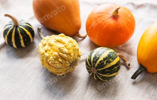 Preview: Pumpkins