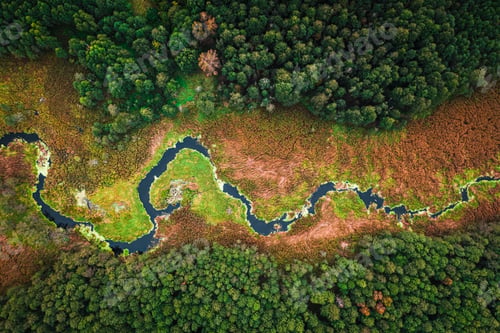 Preview: Top view of river and swamps in autumn, drone view