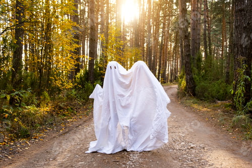 Preview: child in sheets with cutout for eyes like a ghost costume in an autumn forest