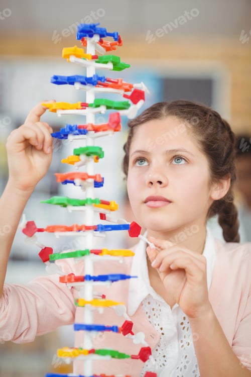 Preview: Schoolgirl experimenting molecule model in laboratory