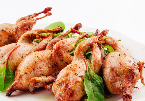 Preview: Tasty fried quail on white plate