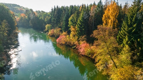 Preview: Autumn colorful forest and river Brda at sunrise in Poland.