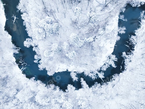 Preview: Ssnowy forest with snow and river in Poland.