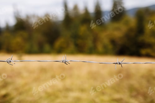 Preview: A closeup shot of a barbed metal wire with a mountain on the background