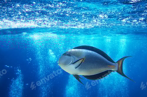 Preview: Abstract underwater background with air bubbles