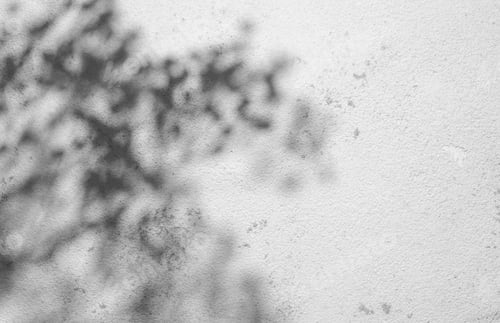 Preview: Tree leaves shadows on grey concrete wall