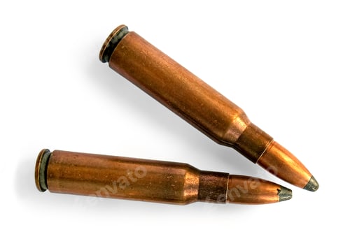 Preview: Two bullets for the carbine