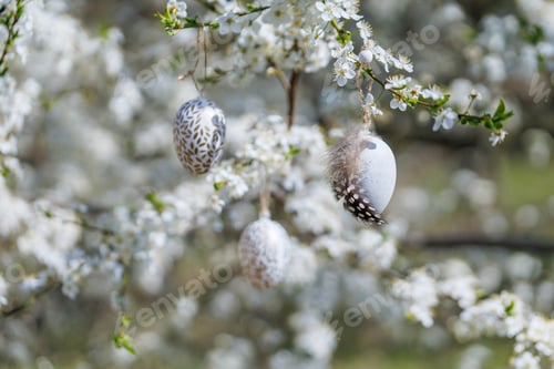 Preview: Decorative Easter eggs with feather on spring blooming tree