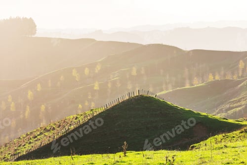 Preview: New Zealand hills