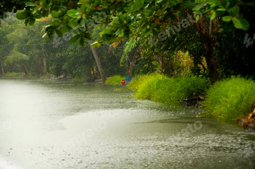 Preview: Landscape of Alleppey backwaters, Kerala, India.