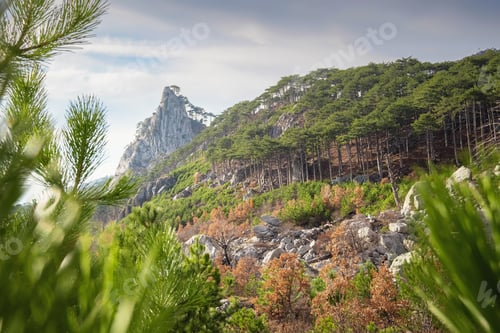 Preview: the concept of discovery and hiking, nature and freedom