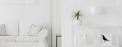 Preview: Rack with palm plant