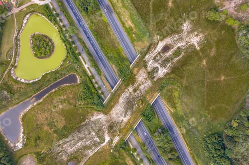 Preview: Ecoduct wildlife crossing