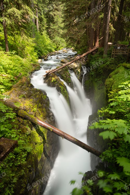 Preview: Sol Duc Falls in Olympic National Park, Washington