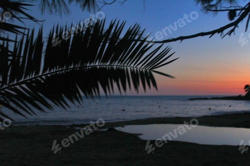 Preview: Beach sunset