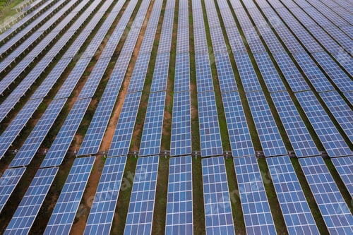 Preview: Engineer Inspecting Solar Panels at Power Plant