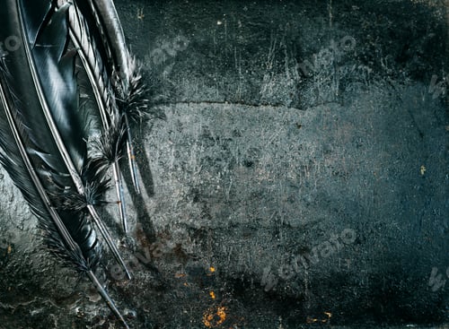 Preview: Halloween background with black raven feathers on dark grunge backdrop.