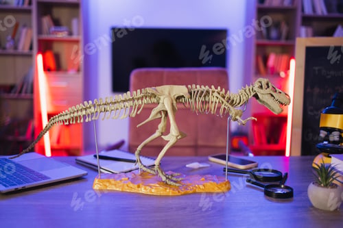 Preview: Nature education concept - assortment of supplies, skeleton of dinosaur.