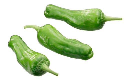 Preview: Shishito peppers c. annuum, paths