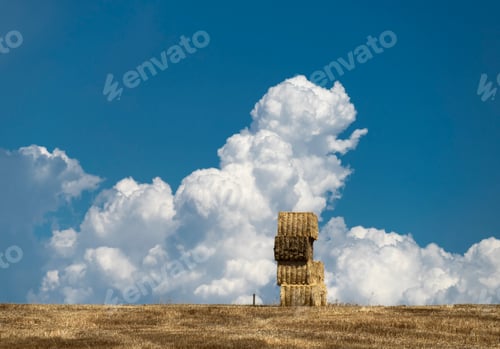 Preview: Hay Bales in golden agricultural field