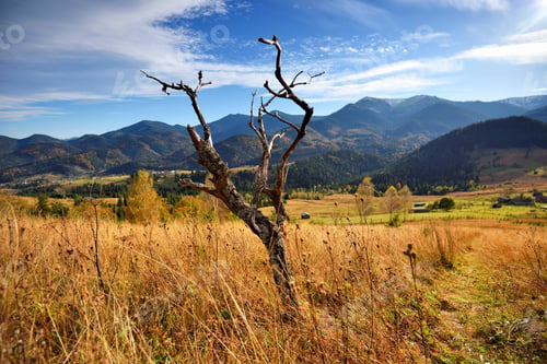 Preview: Beautiful autumn landscape in mountains and blue sky with clouds
