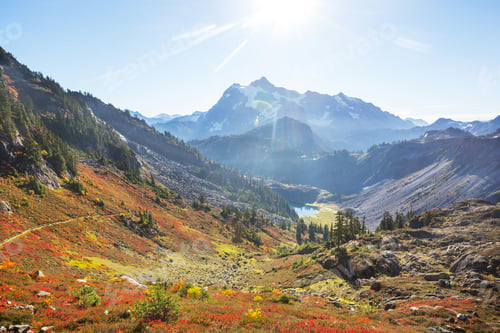 Preview: Mt Baker Area