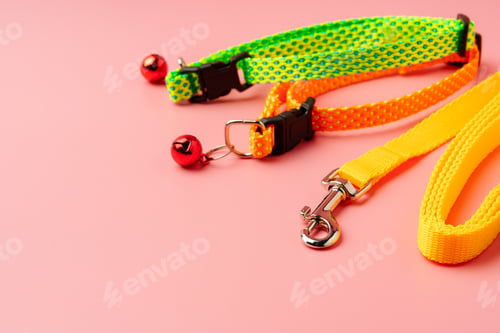 Preview: Textile pet collar on pink background studio photo