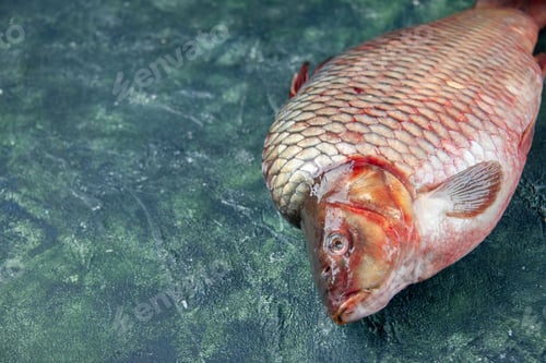Preview: front view fresh raw fish on a dark blue background meat water ocean food omega color horizontal