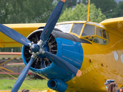 Preview: airplane An-2 the Sky aviation festival, theory and practice
