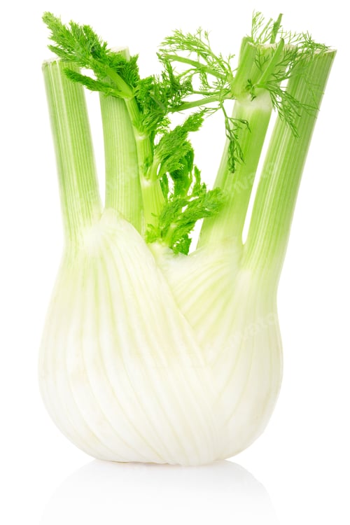 Vista previa: Fennel