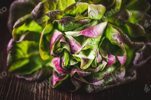 Preview: Organic Red Oakleaf lettuce