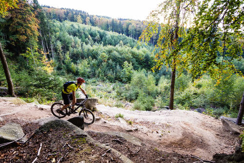 Preview: Mountain biker riding cycling in autumn forest