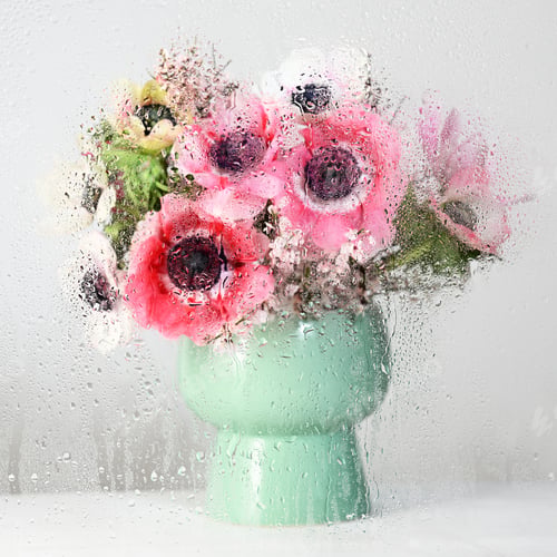 Preview: Beautiful bouquet of anemones