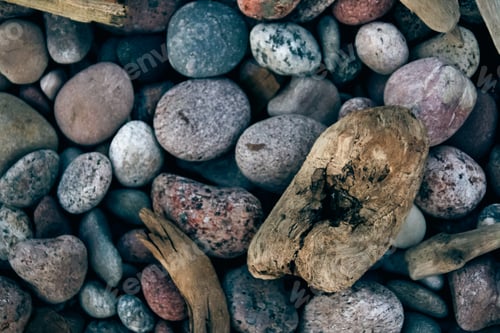 Preview: Closeup shot of stones and wood elements at the beach of Baltic Sea, Lithuania