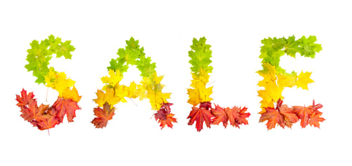 Preview: leaves in shape of word LIFE on white background