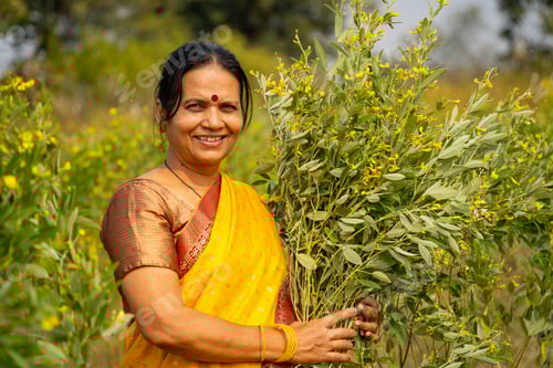 Preview: Happy Indian woman in the pigeon pea field.