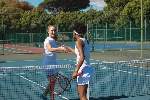 Preview: Happy biracial female competitors doing handshake over net at tennis court on sunny day