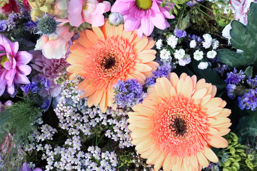 Preview: Beautiful flowers background. Flowers decoration, view from above