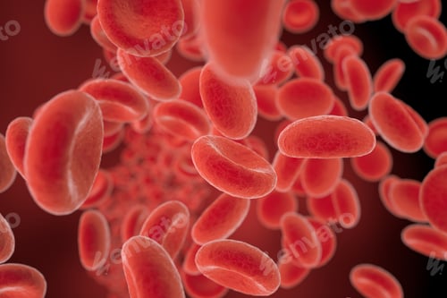 Preview: red blood cells flowing in a vessel, 3D illustration