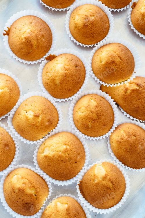 Preview: food