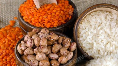 Preview: Healthy Vegetarian Raw Food Legumes
