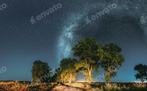 Preview: Milky Way Galaxy In Night Starry Sky Above Tree In Summer Forest. Glowing Stars Above Landscape