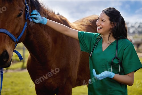 Preview: My passion has become my job. Shot of a young veterinarian putting a bandage on a horse on a farm.