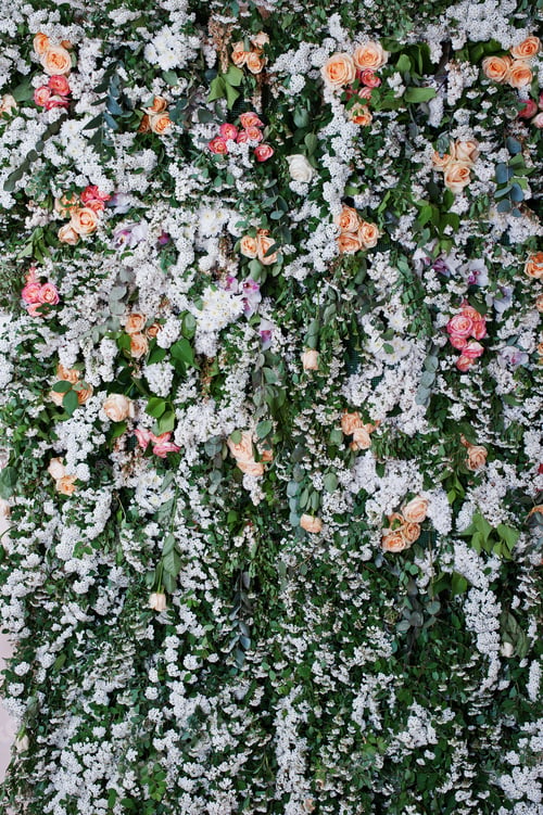 Preview: Floral decor. Decoration wall of flowers. Florist theme, floral background