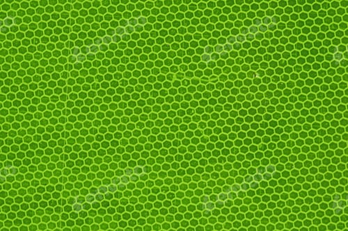 Preview: green texture background backdrop