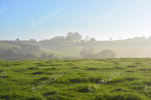 Preview: Finding fog. Early morning view over green fields, Somerset, England